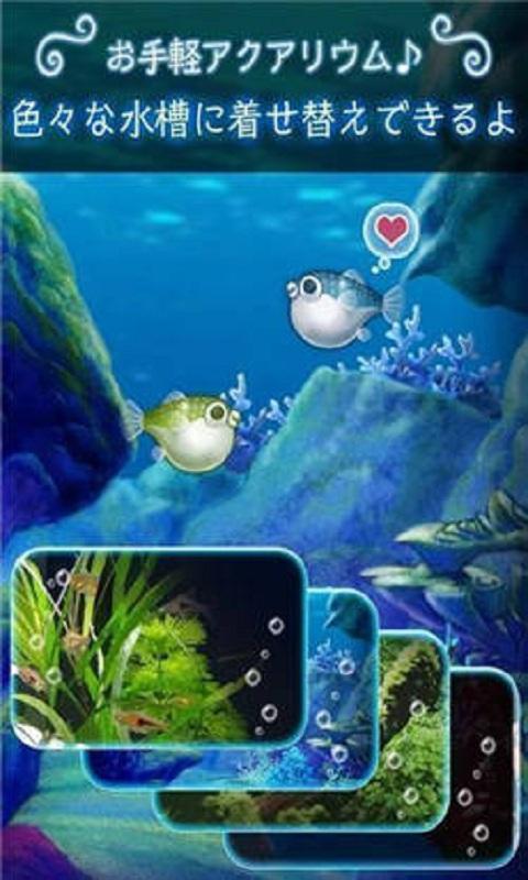 我的河豚水族馆内购破解版下载,我的河豚水族馆,休闲游戏,养成游戏