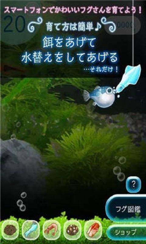 我的河豚水族馆内购破解版下载,我的河豚水族馆,休闲游戏,养成游戏