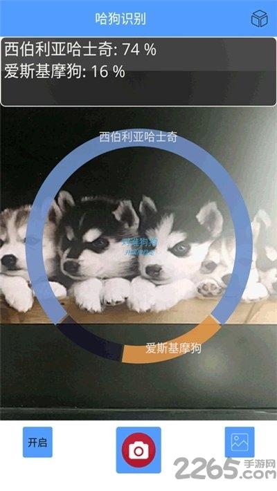 哈狗识别app(万能拍照识别)下载,哈狗识别,识别app