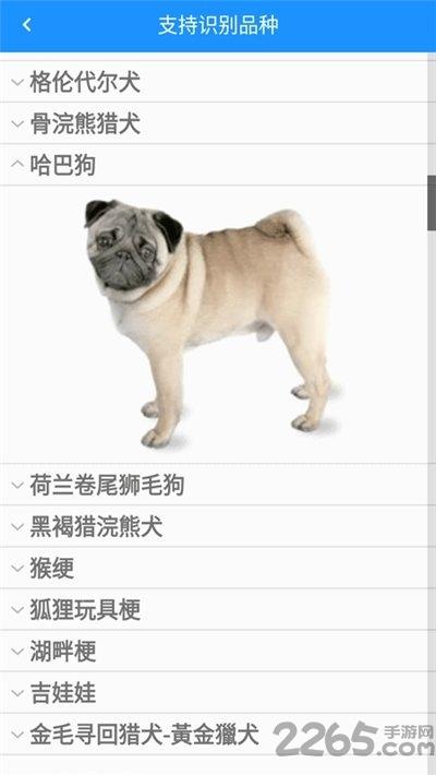 哈狗识别app(万能拍照识别)下载,哈狗识别,识别app