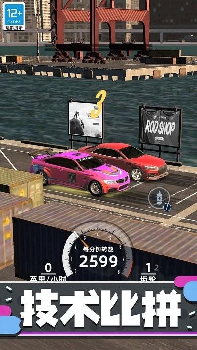 狂野赛车3d最新版下载,狂野赛车3d,赛车游戏